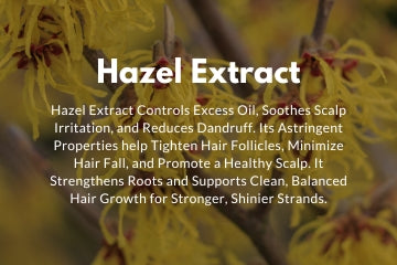 Hazel Extract