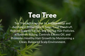 Tea Tree