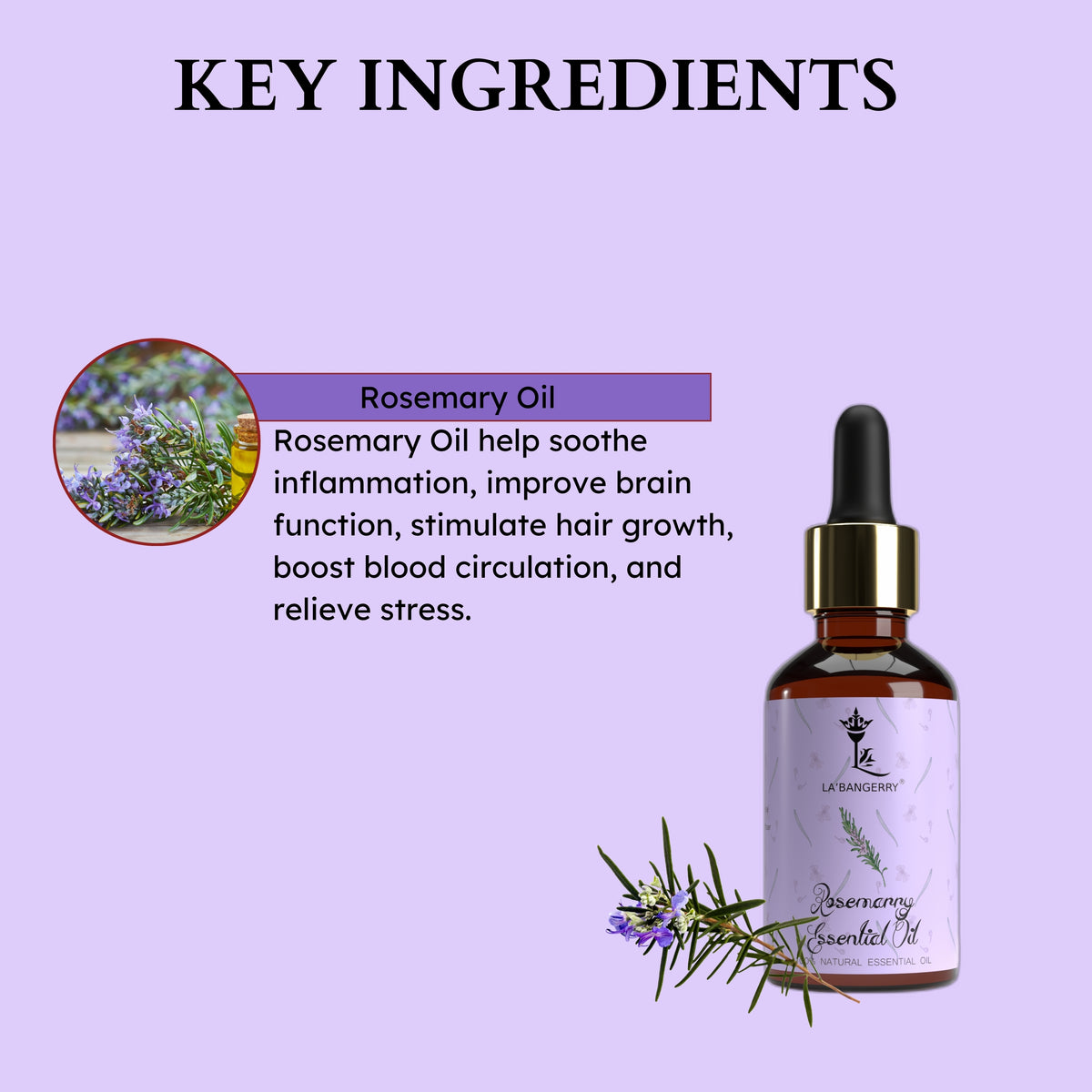 ingredients of Rosemary Hair Oil 