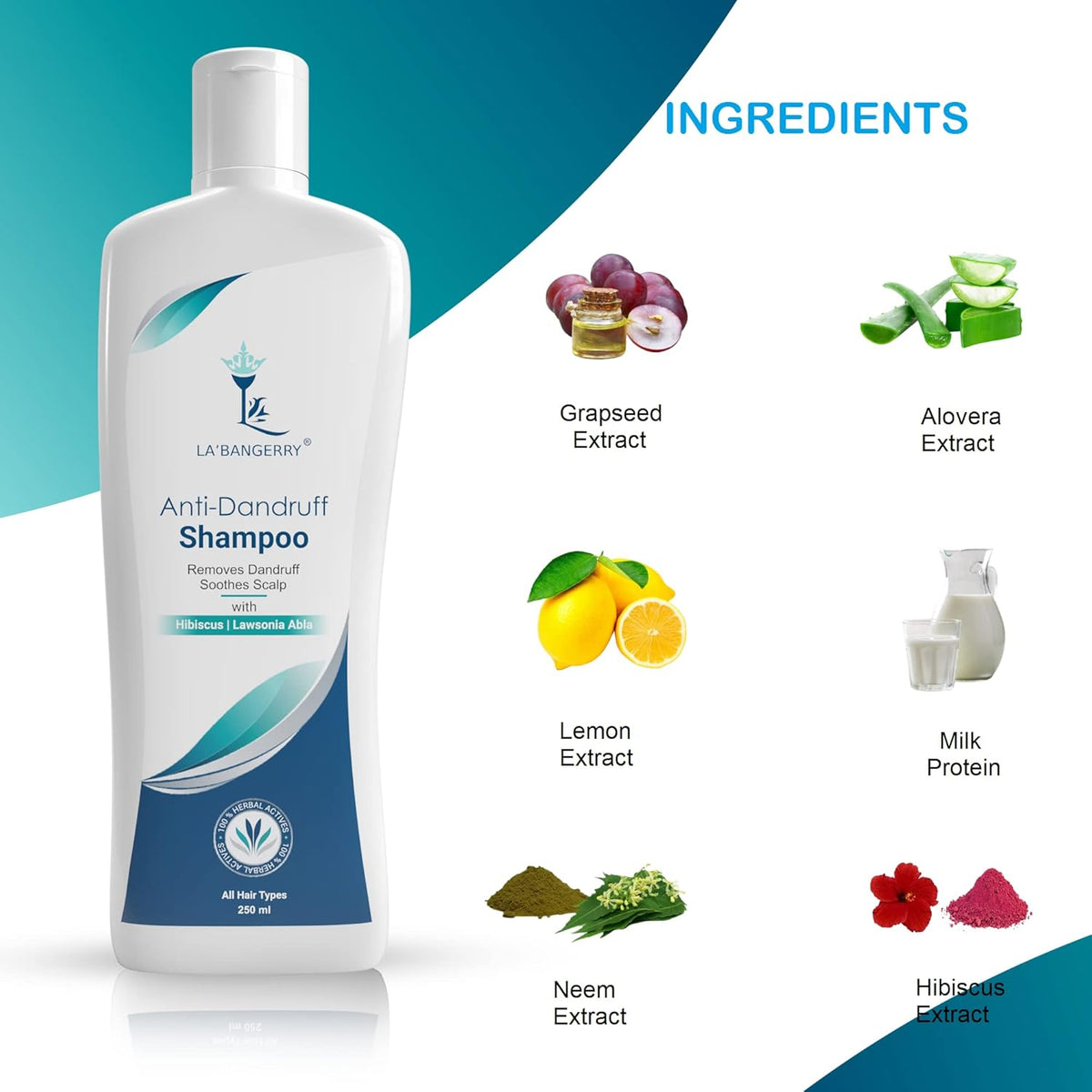Best Anti Dandruff Shampoo for Women & Men