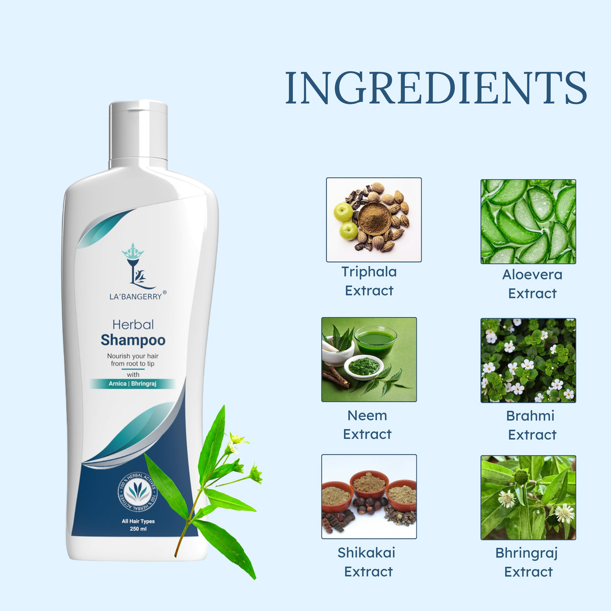 ingredients of herbal shampoo